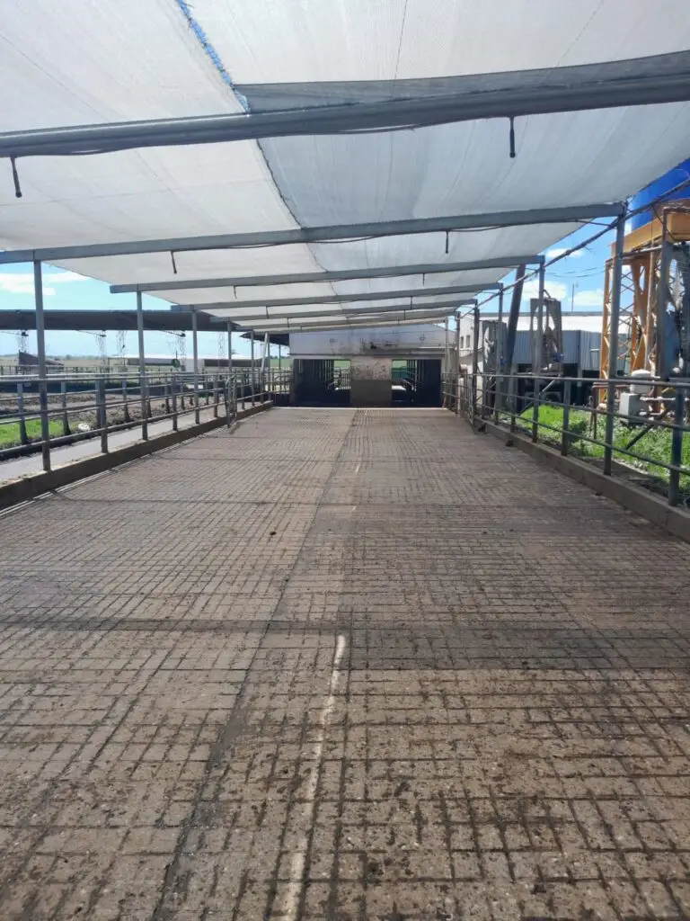 WhatsApp Image 2025-03-14 at 15.22.20 (1)