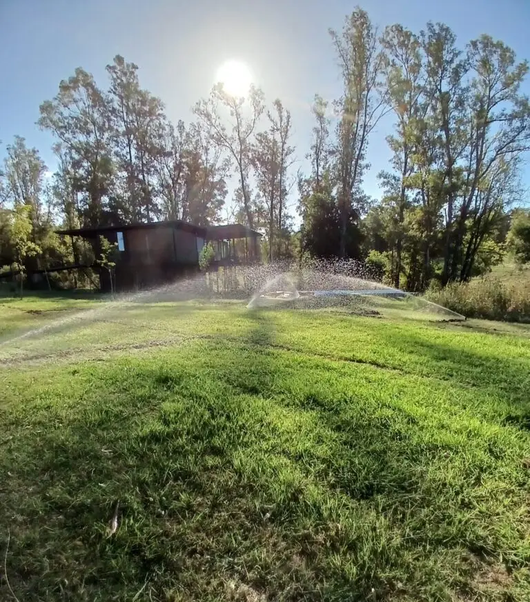 WhatsApp Image 2025-03-14 at 15.31.33 (1)