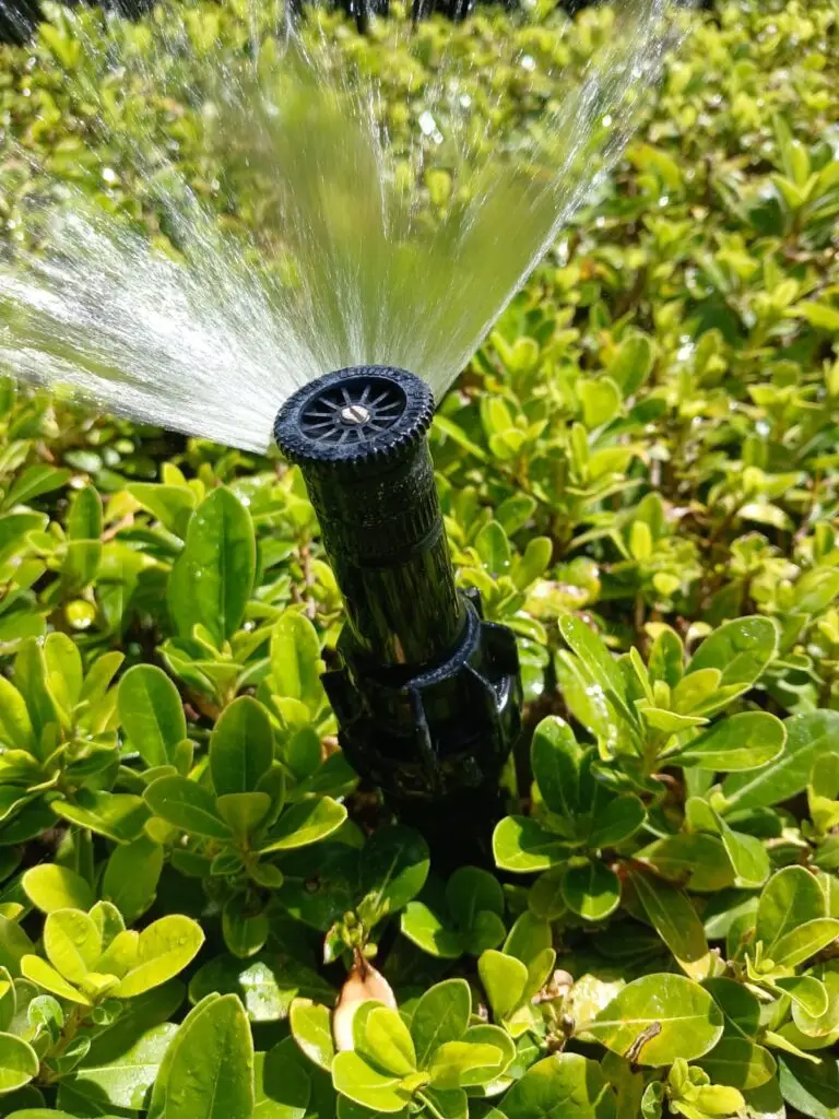 bc02065e-0860-4a57-af5a-c03093a229ce